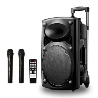 Haut-Parleur Bluetooth Rechargeable D14 - Avec 2 Microphones Sans Fil - Noir