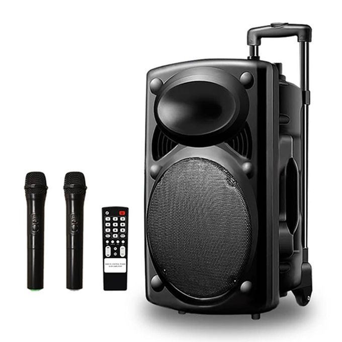 Haut-Parleur Bluetooth Rechargeable D14 - Avec 2 Microphones Sans Fil - Noir